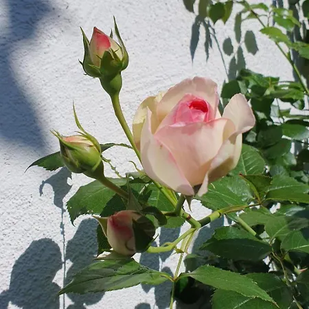 Fuchsbau Дом отдыха *