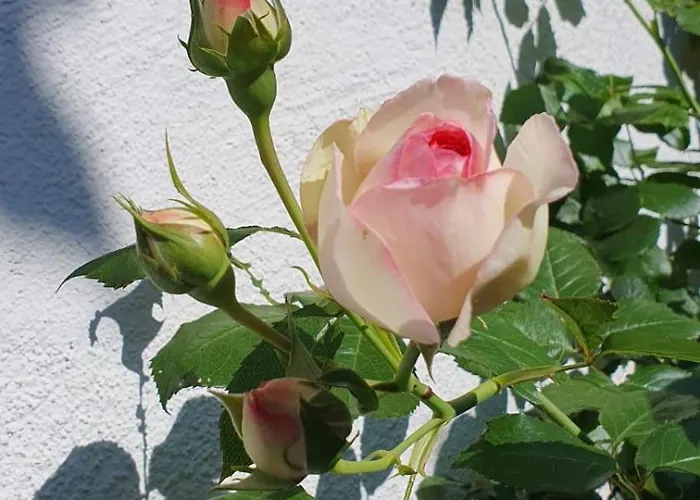 Fuchsbau 度假居 *